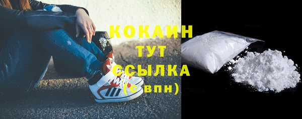 стафф Аркадак