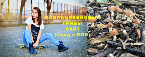 Альфа ПВП Остров