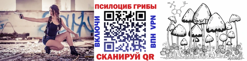 Галлюциногенные грибы Cubensis Шахунья